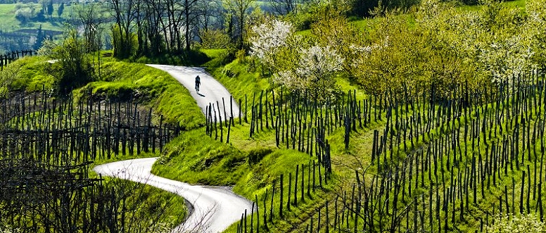 Il sentiero inizia a Potoče e prosegue lungo le cantine, dove è possibile degustare l’ottimo vino locale, e gli agriturismi che offrono piatti tipici della zona.